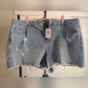 Torrid Light Blue Distressed Jean Shorts